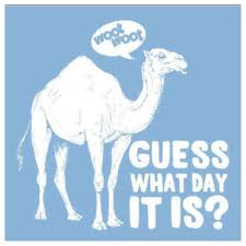 guess what day wed woot woot