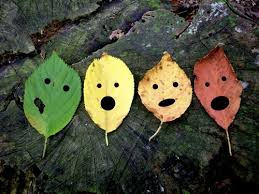 leaves green yelow orange red